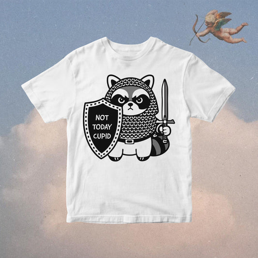 Anti-valentine Raccoon PNG – Medieval Knight 'Not Today Cupid' Design (Digital Download)