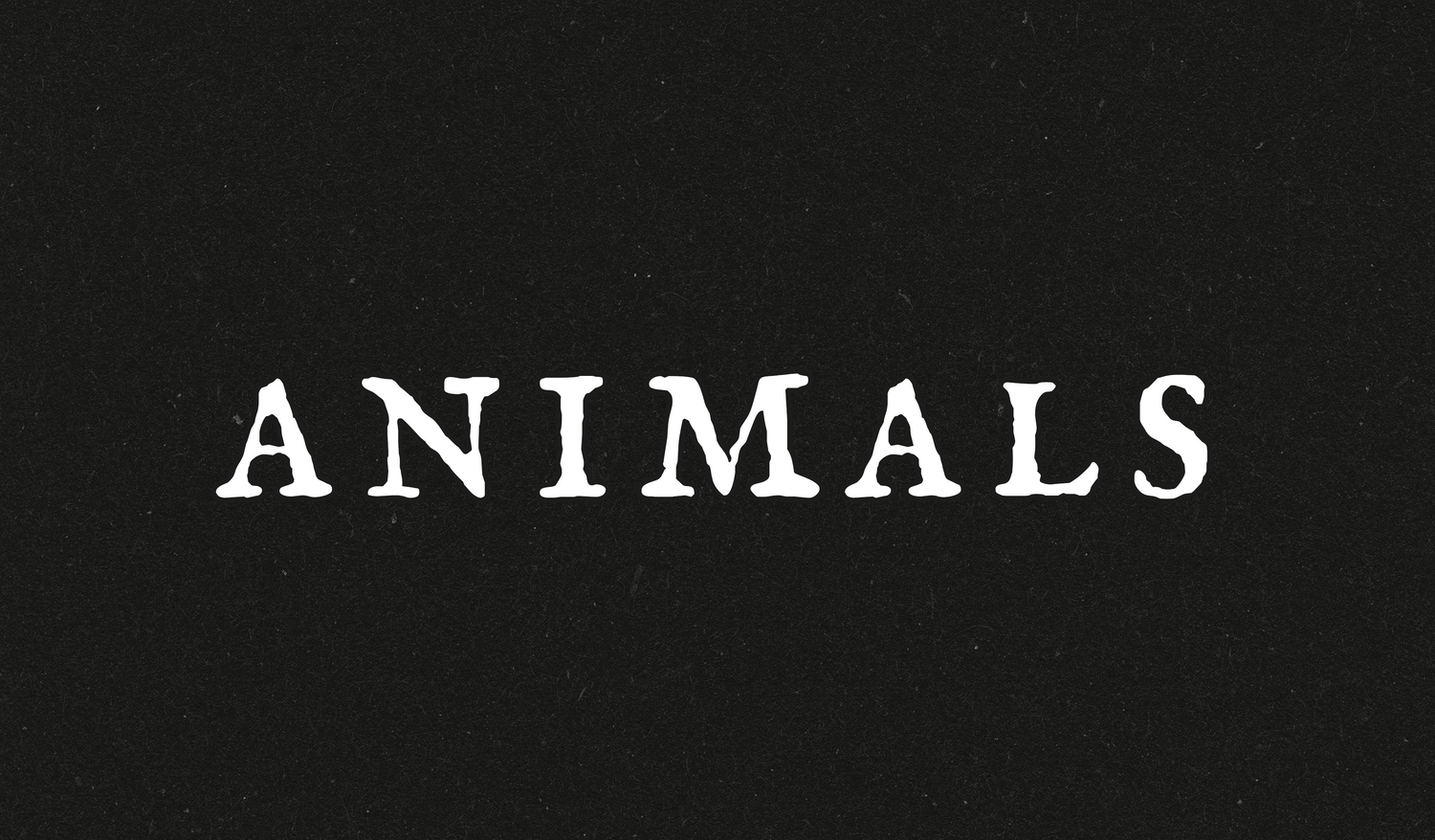 Animals