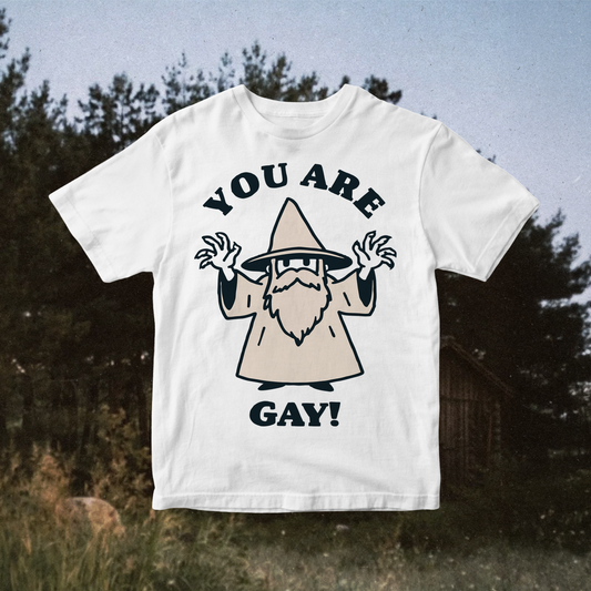 You Are Gay PNG: Funny Wizard LGBTQ Pride Meme Clipart (Digital Download)